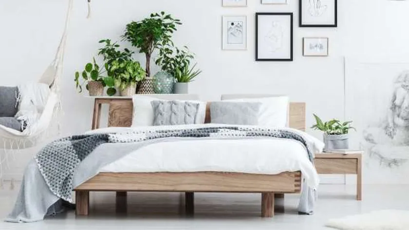 أسعار مراتب سرير 120