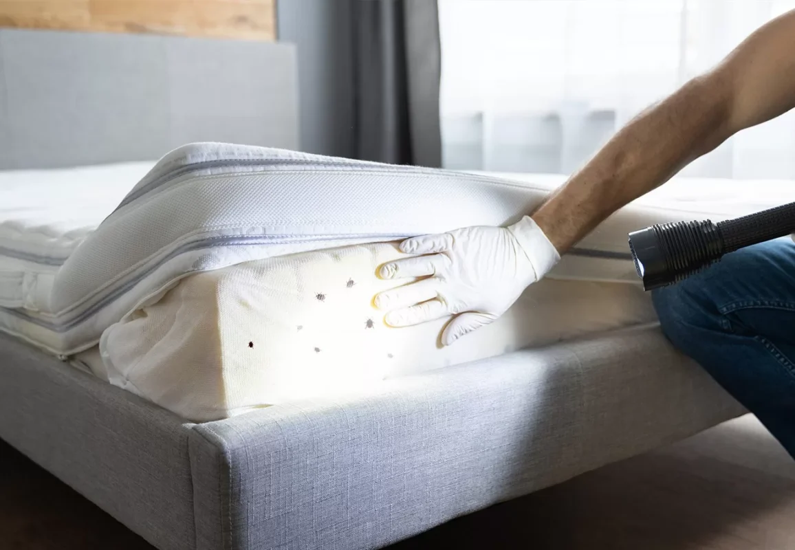 تنظيف مرتبة السرير من الحشرات