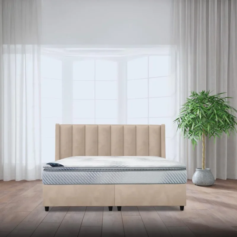 مراتب فردية 