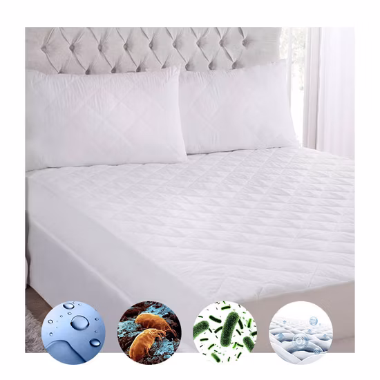 مرتبة مضادة للحساسية 