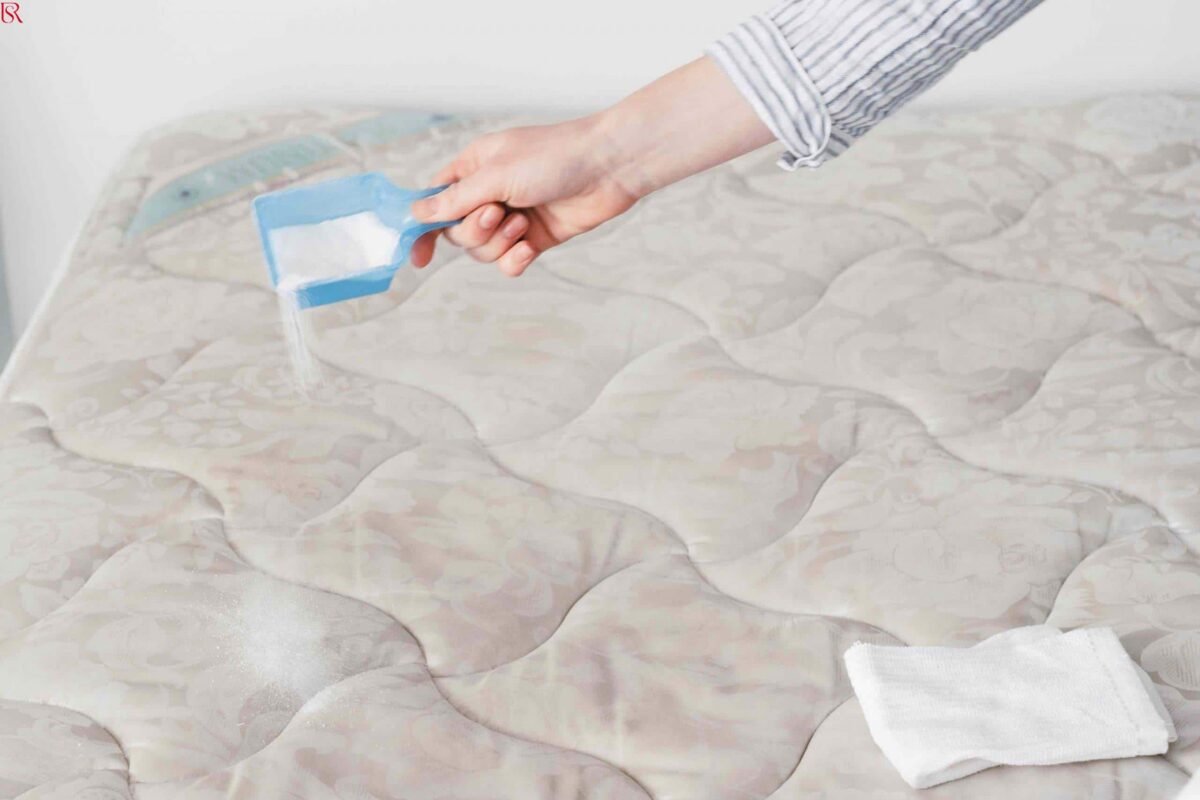 تنظيف مراتب الفايبر