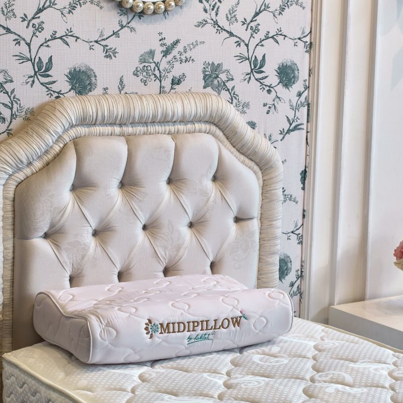 مخدة طبية للديسك 